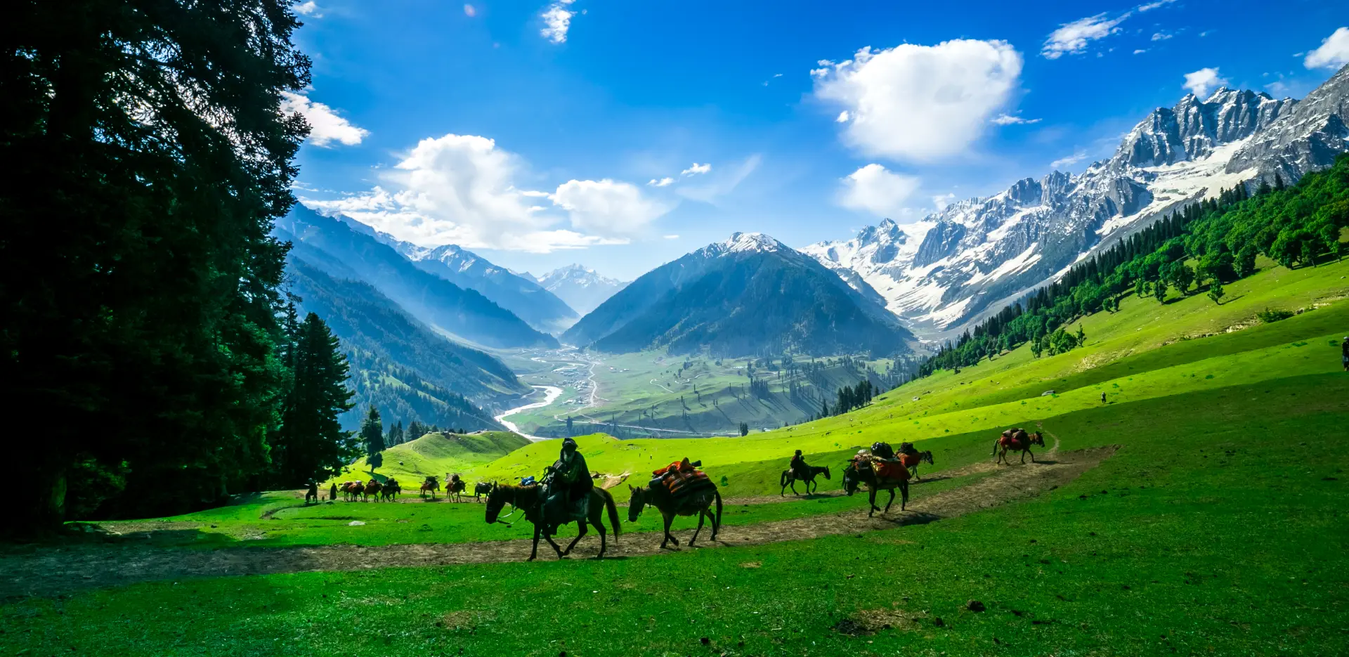 Kashmir